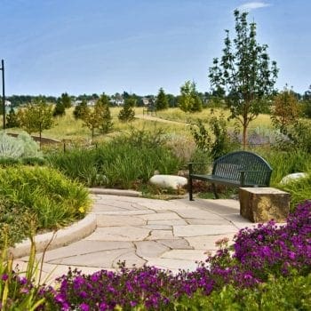 Parker, CO Sustainable Landscaping Design